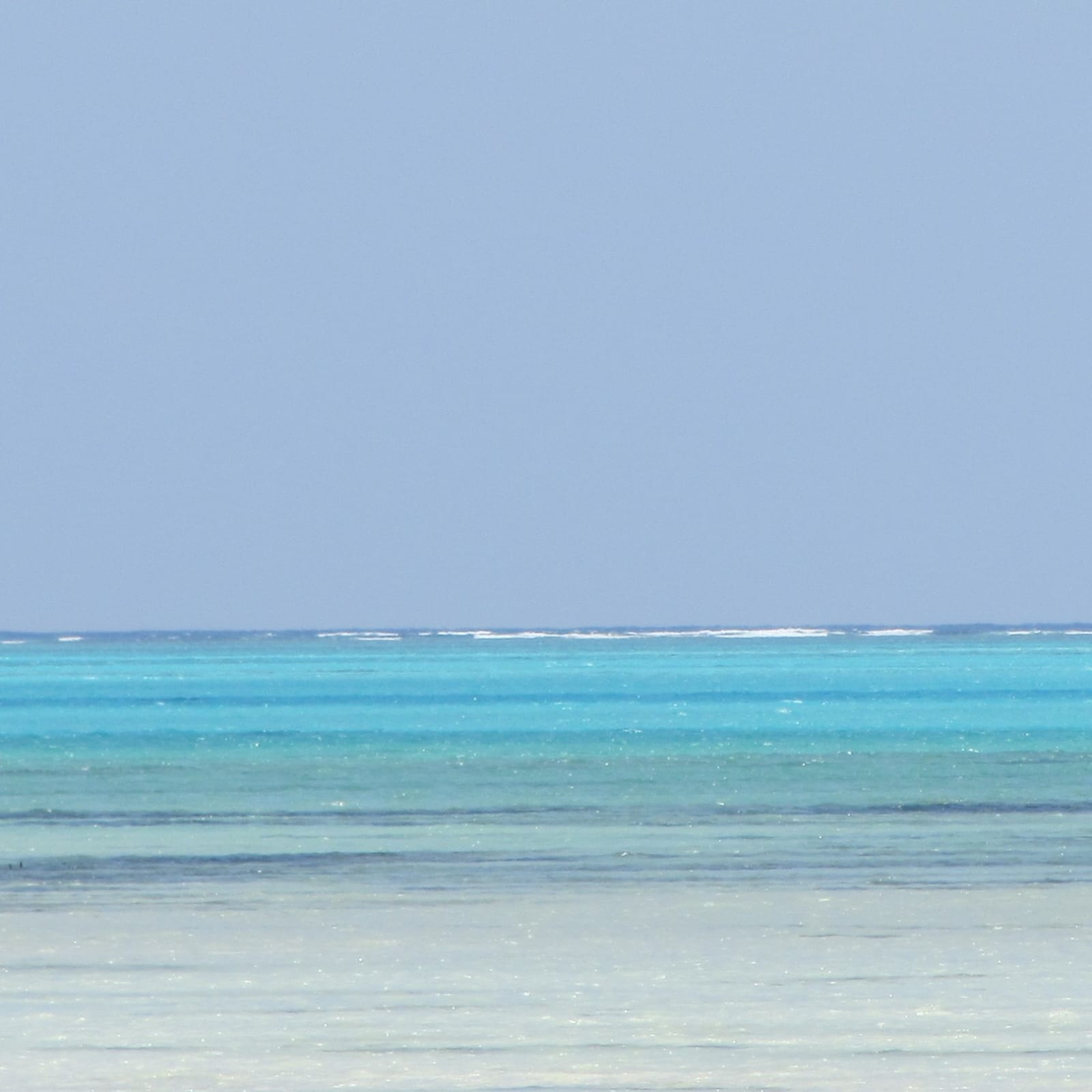 WhatsApp Image 2026-03-25 at 13.03.45